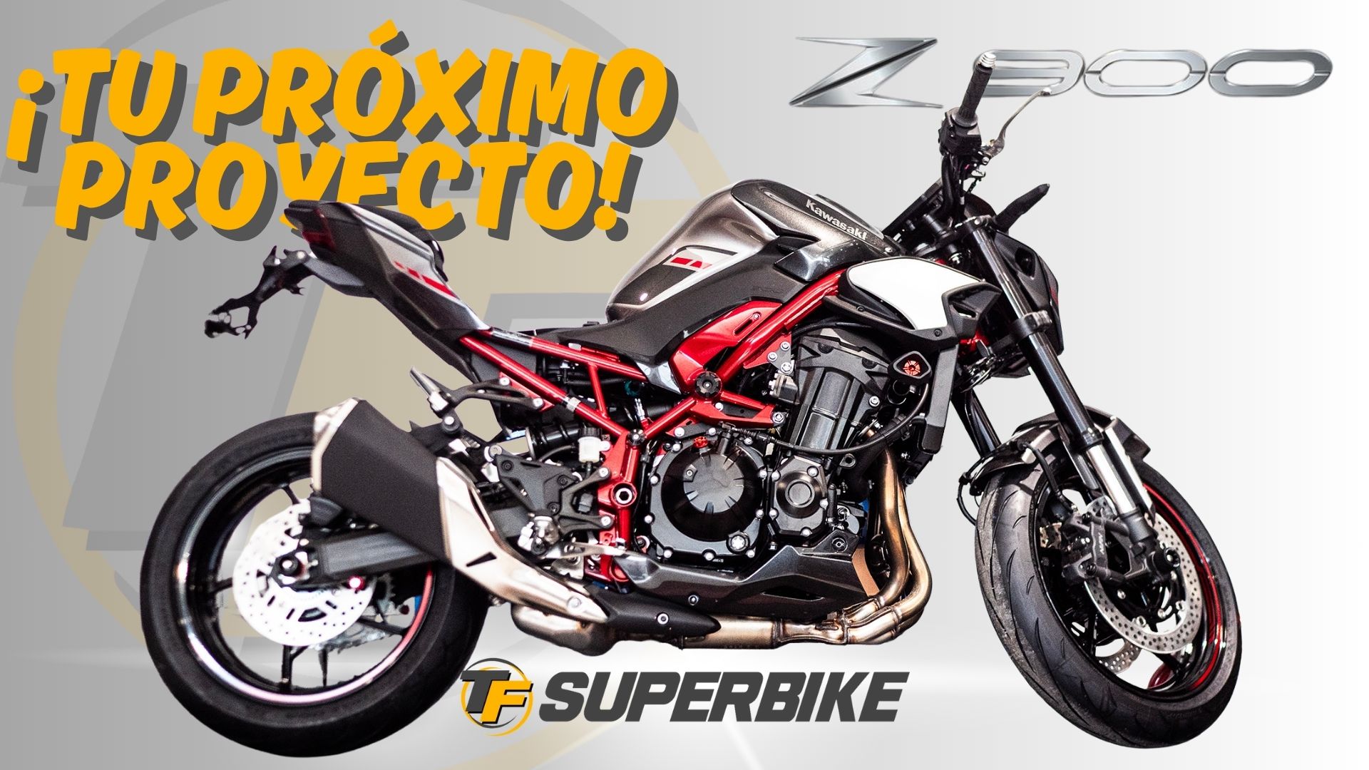 Tu Kawasaki Z900: ¡El Lienzo Perfecto para Tu Próximo Proyecto!
