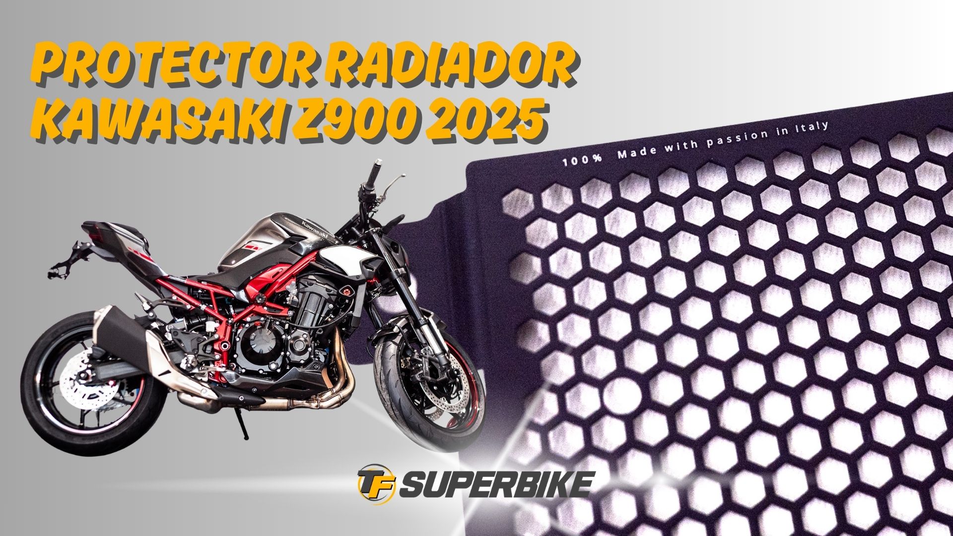 Protector radiador para Kawasaki Z900 2025