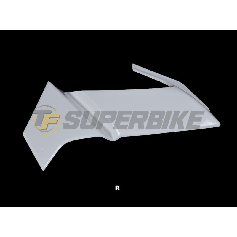 Carenado de fibra Aprilia RS 660 / Trofeo Supertwin