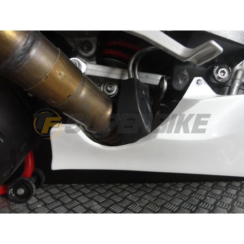 Carenado de fibra BMW S1000RR 2015-2018 colín racing