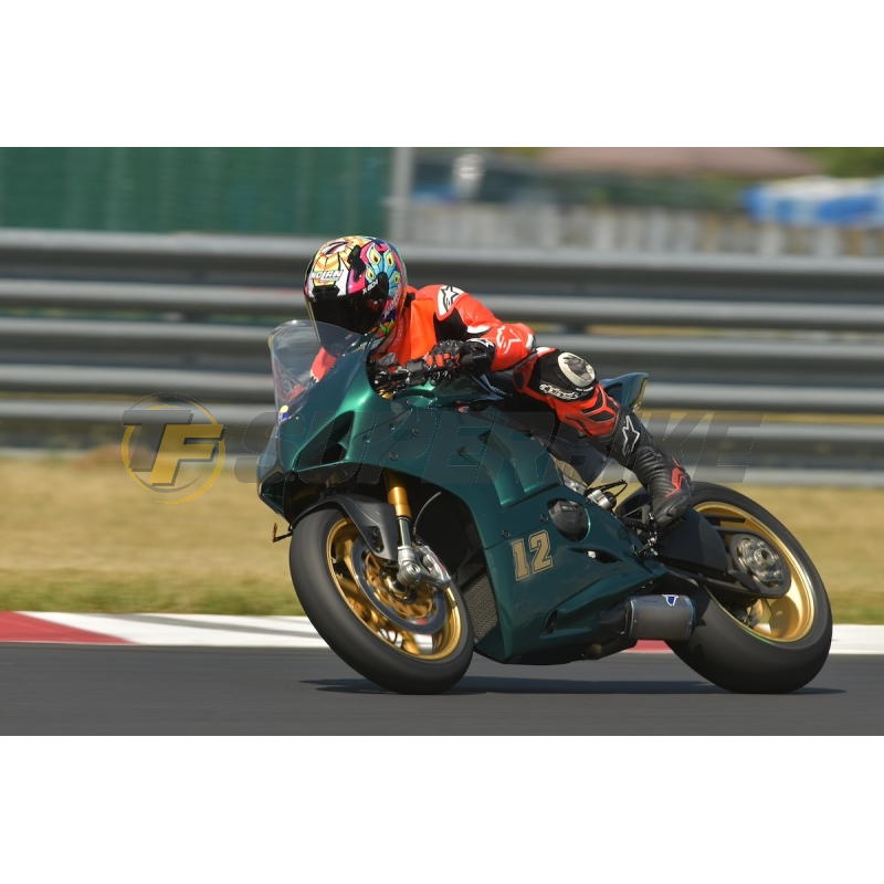 Carenado de fibra Ducati Panigale V4 / V4S / V4R 2018-2022 escape original