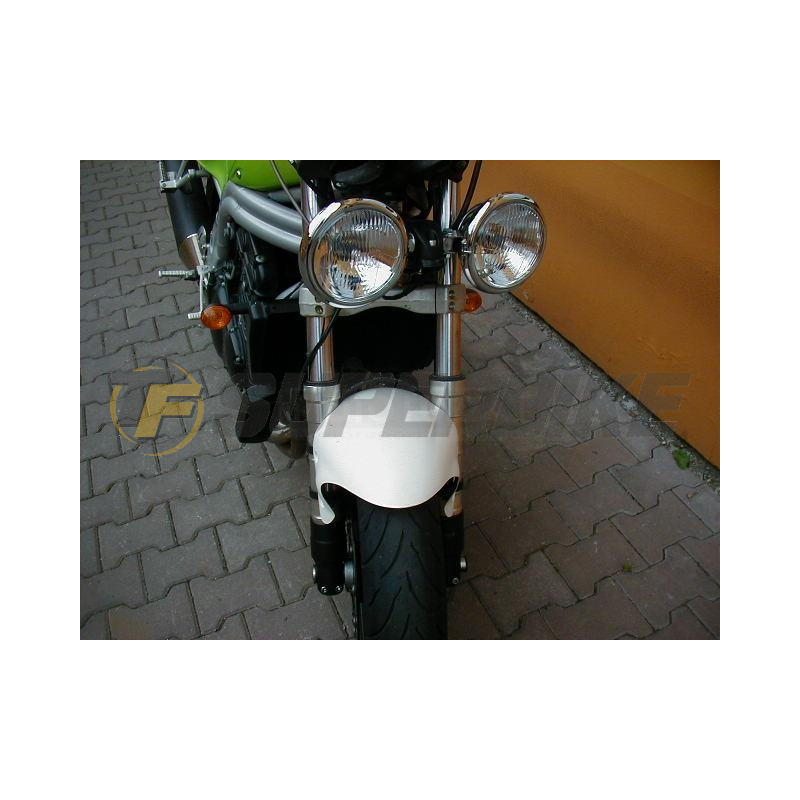 Guardabarros delantero fibra vidrio Triumph T509 / T595 / T955 / 955i 1997-2000