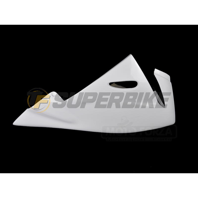 Carenado de fibra Street Kawasaki ZX-10R 2004-2005