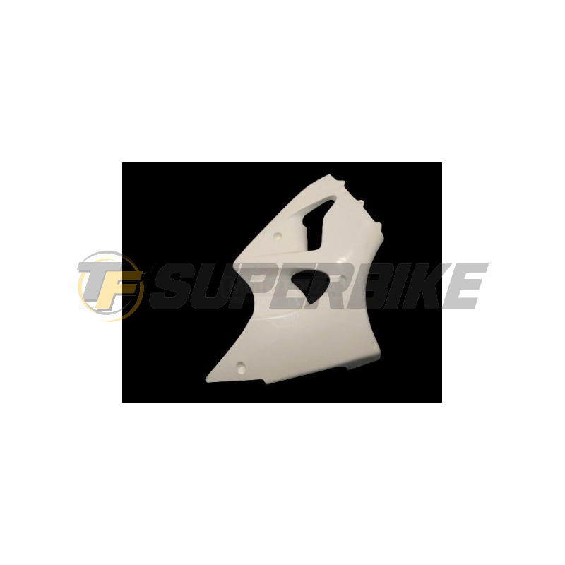 Carenado de fibra Street Kawasaki ZX-6R Ninja 2000-2003