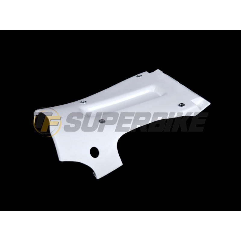 Carenado de fibra BMW S1000RR 2009-2011 colín racing