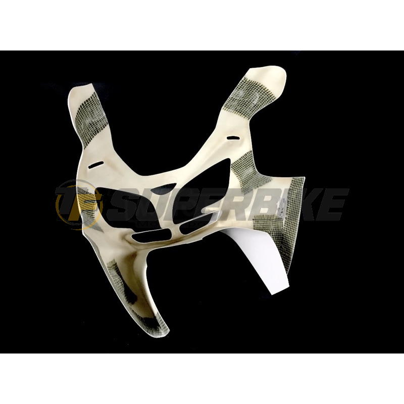 Carenado de fibra Street Kawasaki ZX-9R 2000-2001