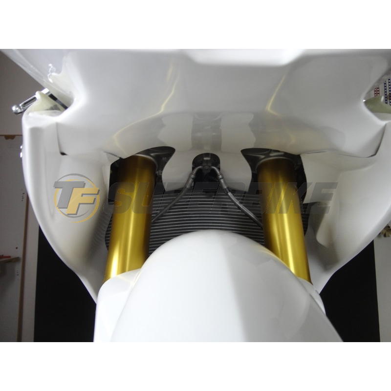 Carenado de fibra BMW S1000RR 2015-2018 colín racing SBK