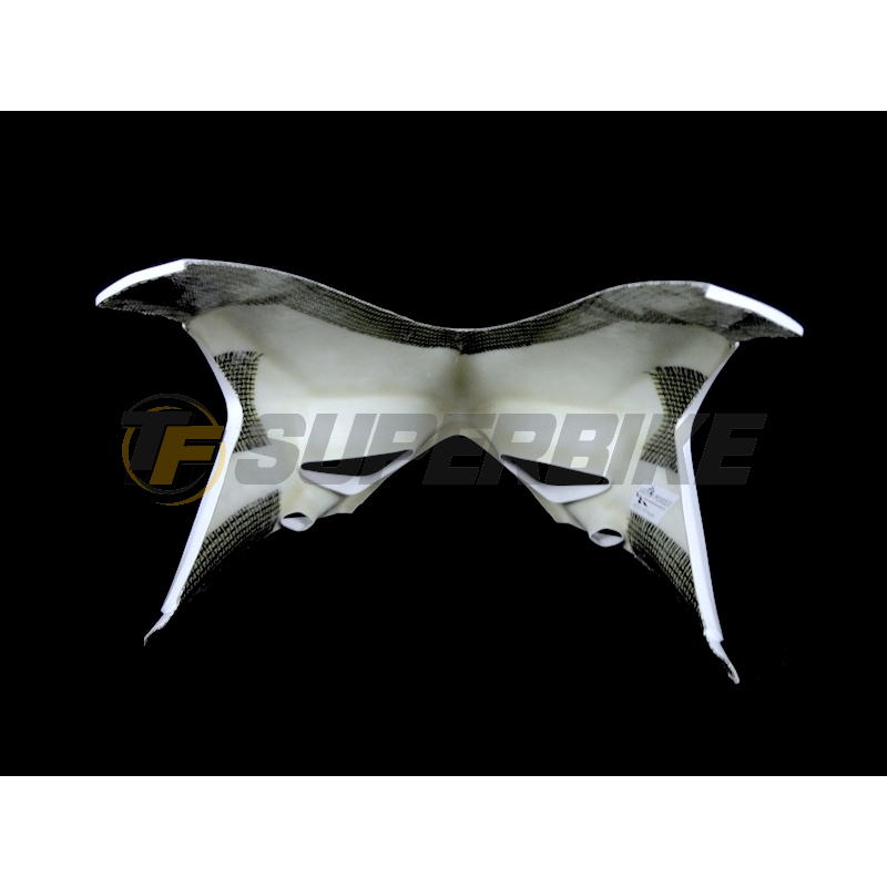 Carenado de fibra Ducati Panigale 959 / 1299 colín y escape racing