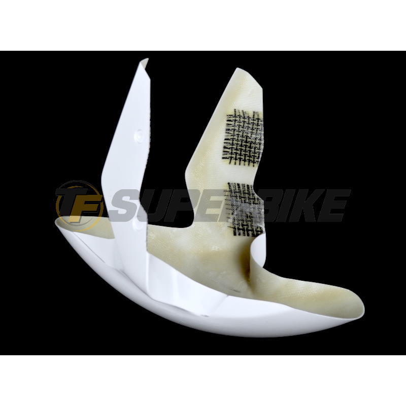 Guardabarros delantero fibra vidrio BMW F900R 2020-2024