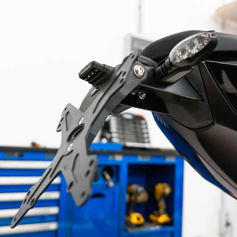 Porta matrícula Triumph Trident 800 2026