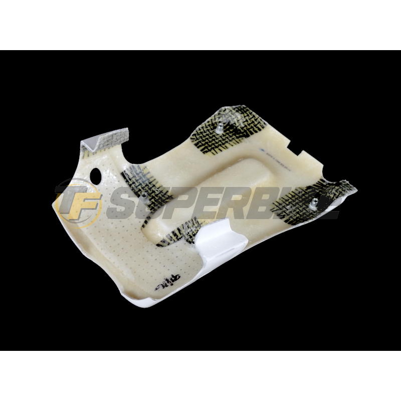 Carenado de fibra BMW S1000RR 2009-2011 colín racing