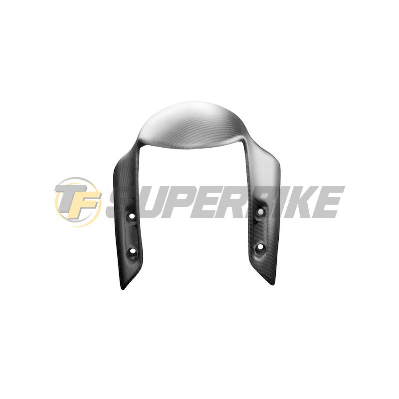 Guardabarros delantero fibra carbono Ducati Panigale V4 / V4R 2018-2024