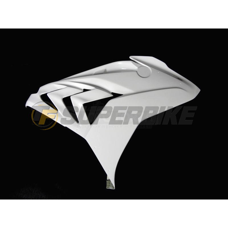 Carenado de fibra BMW S1000RR 2015-2018 colín asiento original