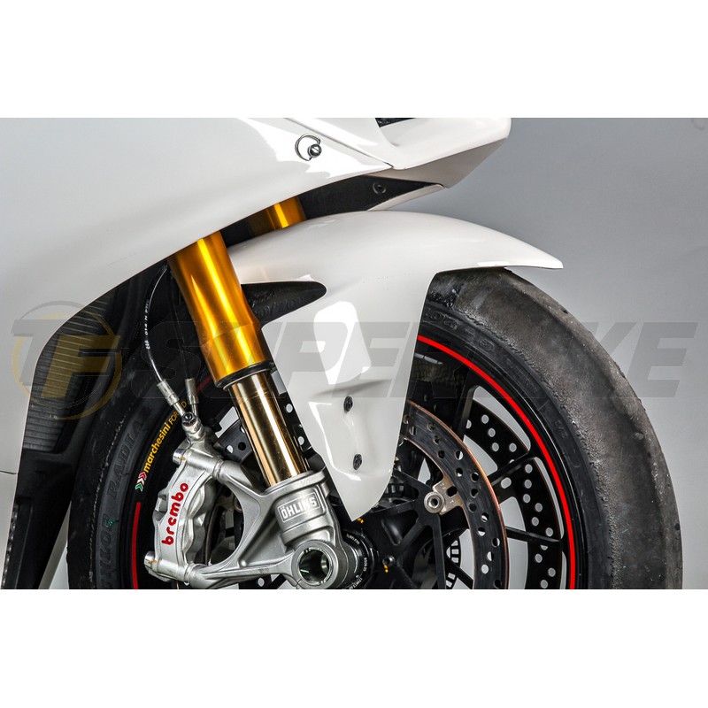 Guardabarros delantero fibra de vidrio Ducati Panigale V4 / V4R 2019-2021 /  V4S 2020-2021