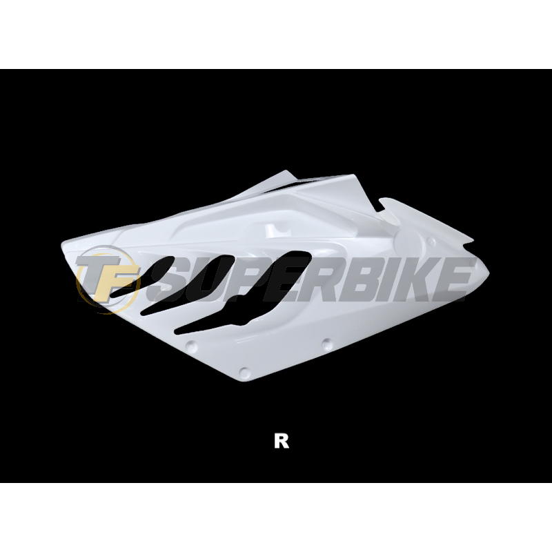 Carenado de fibra Street BMW S1000RR 2009-2011