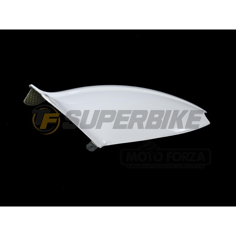 Guardabarros trasero fibra vidrio Triumph Speed Triple 1050 2011-2015