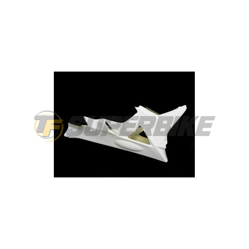 Carenado de fibra Street BMW S1000RR 2009-2011