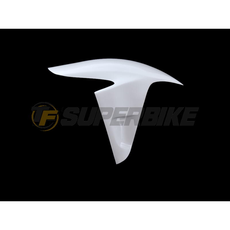 Guardabarros delantero fibra vidrio Ducati Panigale V4 / V4R 2018-2024